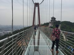 -华西村
