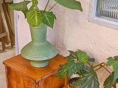 -绿小院(荔湾店)