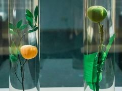 -广东中医药博物馆