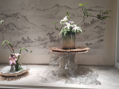 -扬州大运河文化旅游度假区·盆景园