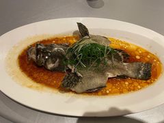 古法蒸老虎斑-维园悦谱·海派家常菜(乌鲁木齐南路店)