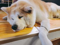 -YCHL Studios健身工作室(市二宫店)