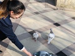 -青岛鑫江温德姆酒店