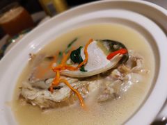 养颜白汁河豚-肆月河豚·新淮扬(金融街店)