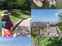 -重庆平顶山公园