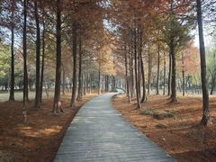 -长广溪湿地公园