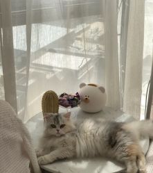 -Beauty Nails 美甲美睫皮肤管理