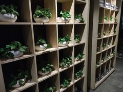 -正清和·推拿养生(黑石礁中心店)