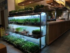 -鲜货俚鲜火锅(青果路店)