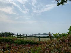 -海中洲渔社