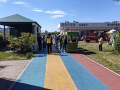 -大兴滨河森林公园