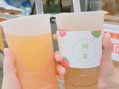 -树夏(建设路店)