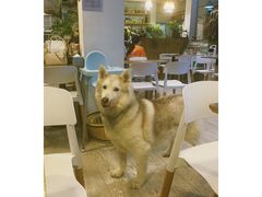 -小时光咖啡馆(北锣鼓巷店)