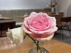 -FreshCo鲜途·西厨(大良店)