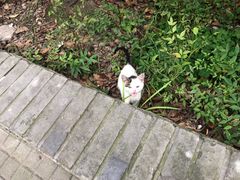 -阿木舂记·特色小吃(平江路店)