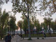 -森林公园(尖草坪区)