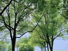 -独墅湖图书馆停车场