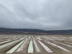 -盐湖景区