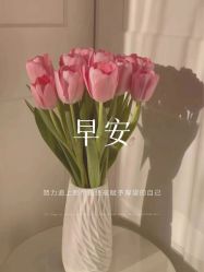 -锦水之缘·中式小颜整骨