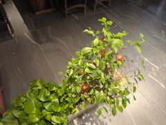 -遇见长安之高山流水(李家村万达店)