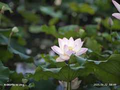 -金山公园