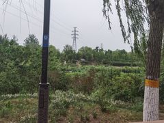 -石榴庄公园