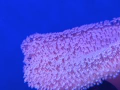 -石家庄极地海洋世界