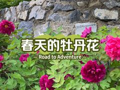 -太阳宫公园