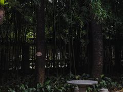 -广州兰圃