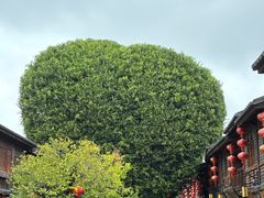 -三坊七巷历史文化街区