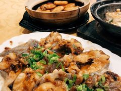 豉汁蒸金钱片西江钳鱼-粤·向群饭店(泮塘路店)