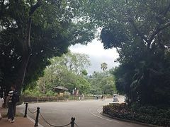-深圳野生动物园