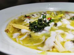 -青花椒花椒鱼(合生汇店)