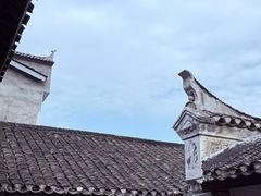 -千年银杏谷文化旅游区