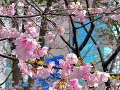 -静安雕塑公园