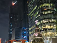 -深圳湾万象城(南山店)