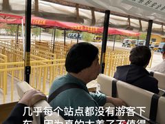 -金塔沙漠胡杨林景区
