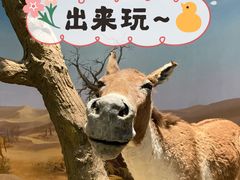 -上方山森林动物世界
