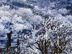 -梵净山旅游区