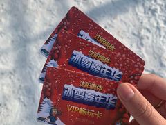 -沈阳奥体冰雪嘉年华