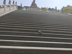 -龙口南山旅游景区