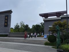 -莲花池公园