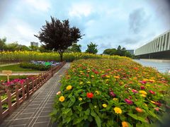 -同济大学(嘉定校区)