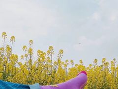 -蜀绣公园