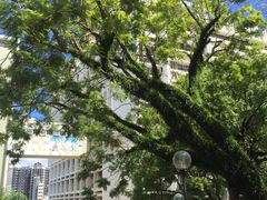 -香港大学