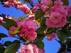 -幕燕滨江·长江观音景区