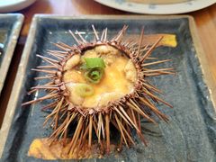 -海胆小馆(东北水饺·春柳店)