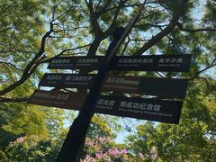 -鼓浪屿