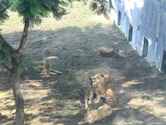 -泉州海丝野生动物世界