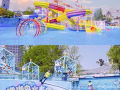 -海合安成都极地海洋公园